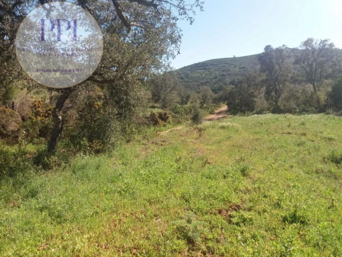 Quinta T0 para Venda em Bensafrim e Barão de São João Foto 31