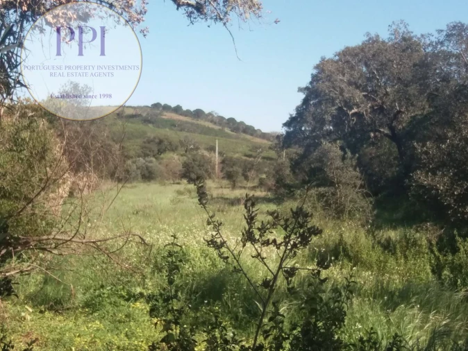 Quinta T0 para Venda em Bensafrim e Barão de São João Foto 23