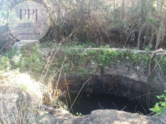 Quinta T0 para Venda em Bensafrim e Barão de São João Foto 21