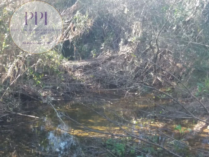 Quinta T0 para Venda em Bensafrim e Barão de São João Foto 22