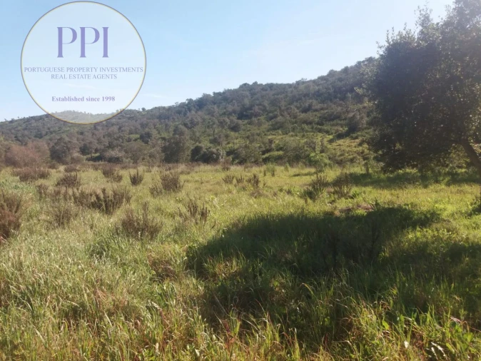 Quinta T0 para Venda em Bensafrim e Barão de São João Foto 6