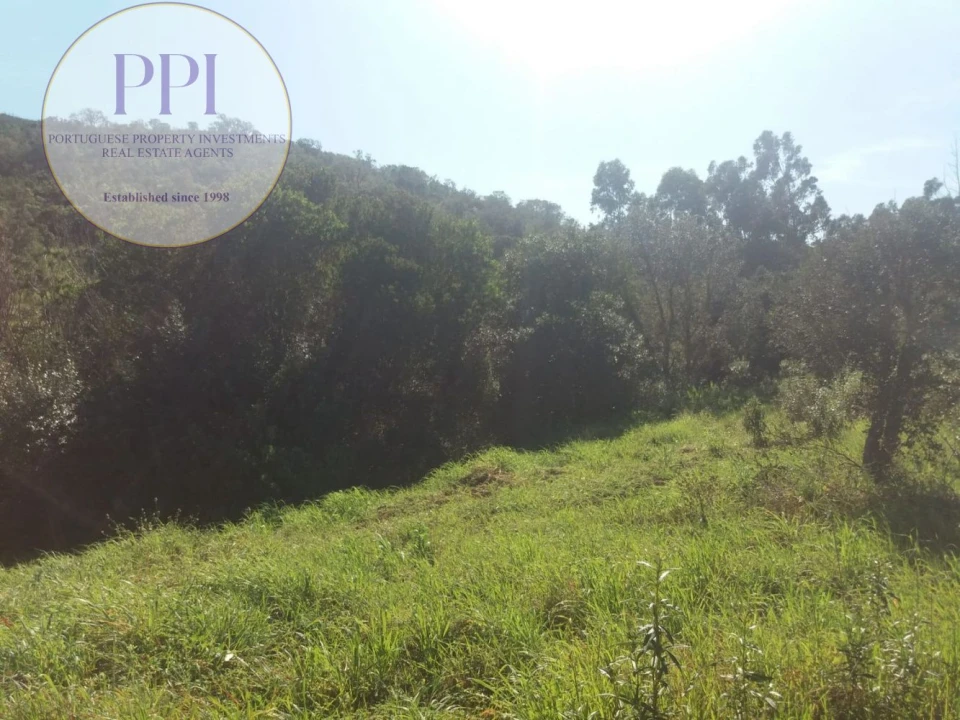 Quinta T0 para Venda em Bensafrim e Barão de São João Foto 18