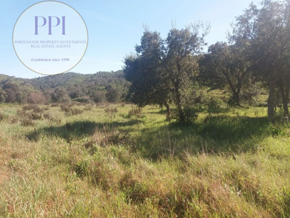 Quinta T0 para Venda em Bensafrim e Barão de São João Foto 8