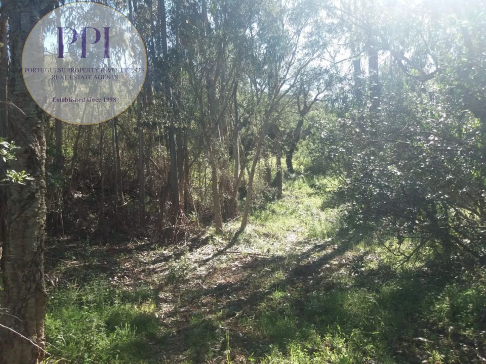 Quinta T0 para Venda em Bensafrim e Barão de São João Foto 19