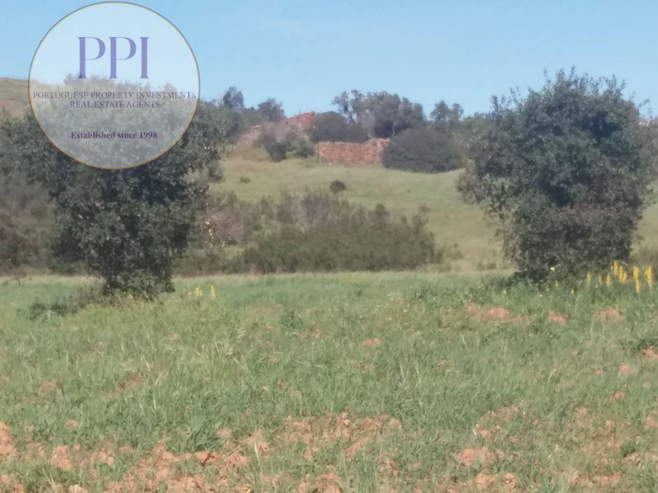 Quinta T0 para Venda em Bensafrim e Barão de São João Foto 24