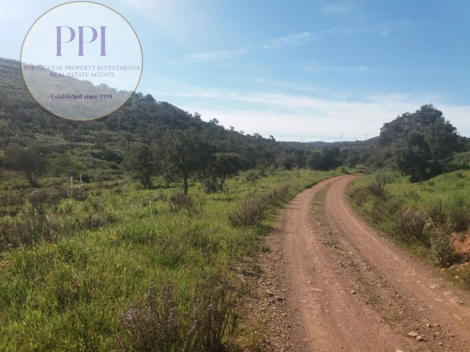 Quinta T0 para Venda em Bensafrim e Barão de São João Foto 4
