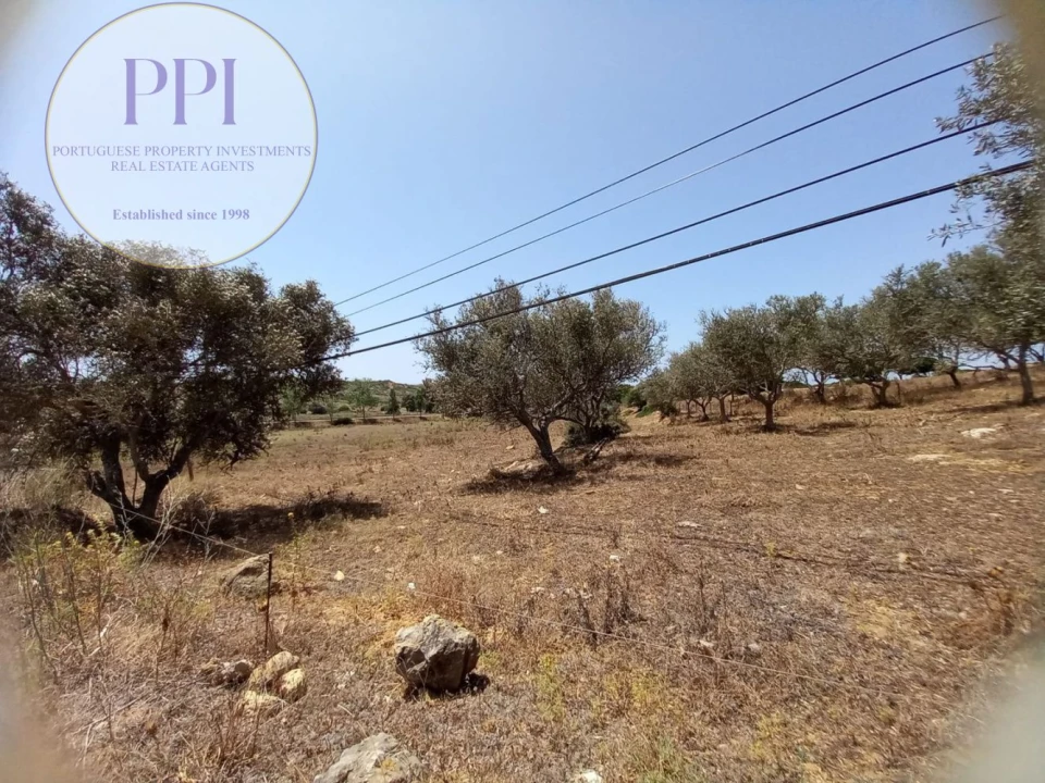 Quinta T1 para Venda em Luz Foto 35