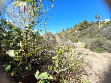 Terreno para Venda em Budens