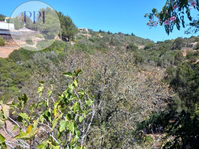Terreno para Venda em Budens Foto 7