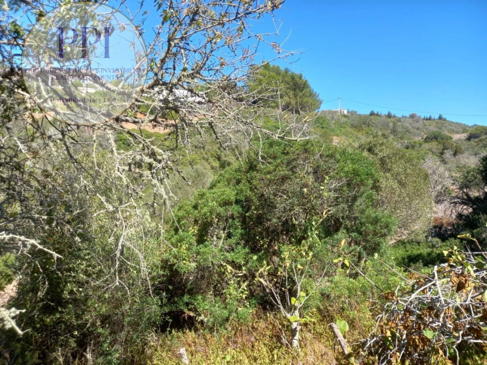 Terreno para Venda em Budens Foto 14