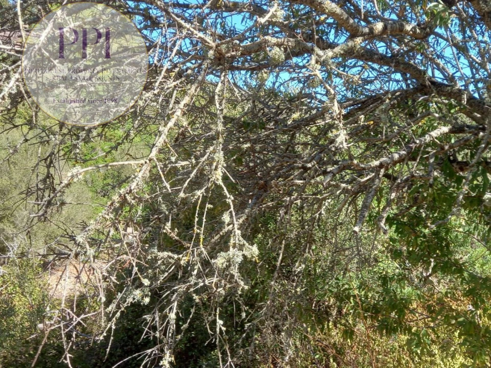 Terreno para Venda em Budens Foto 18
