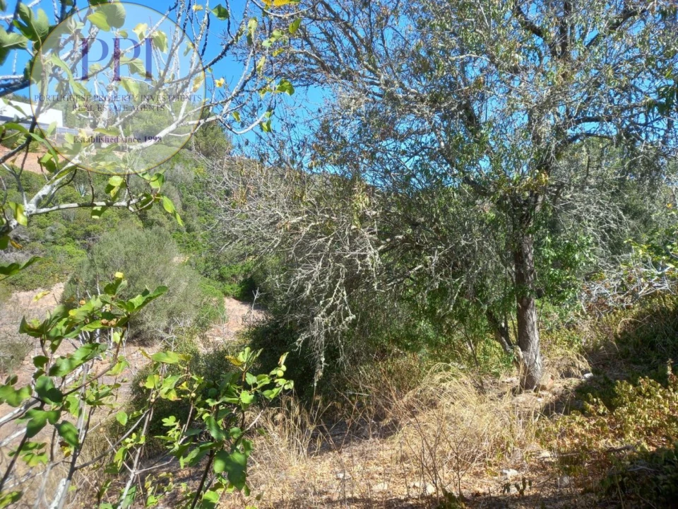 Terreno para Venda em Budens Foto 20