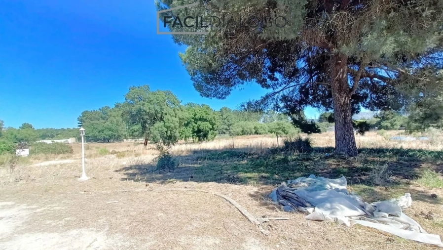 Quinta T4 para Venda em Azeitão (São Lourenço e São Simão) Foto 8