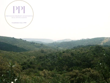 Terreno para Venda em Vila do Bispo e Raposeira