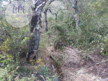 Terreno para Venda em Vila do Bispo e Raposeira