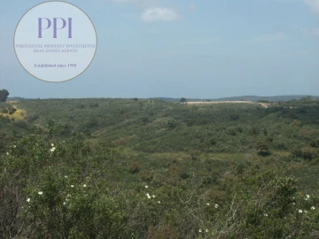 Terreno para Venda em Vila do Bispo e Raposeira
