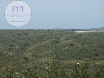 Terreno para Venda em Vila do Bispo e Raposeira