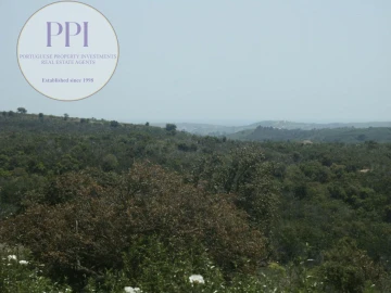 Terreno para Venda em Vila do Bispo e Raposeira