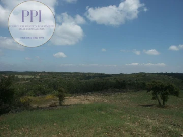 Terreno para Venda em Vila do Bispo e Raposeira