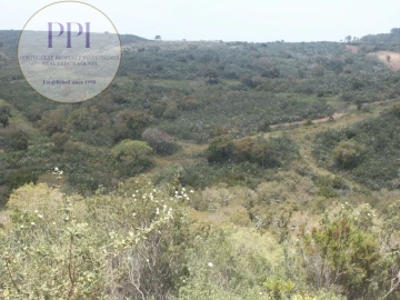 Terreno para Venda em Vila do Bispo e Raposeira