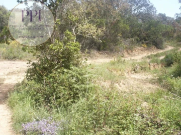 Terreno para Venda em Vila do Bispo e Raposeira