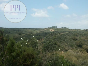 Terreno para Venda em Vila do Bispo e Raposeira