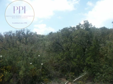 Terreno para Venda em Vila do Bispo e Raposeira
