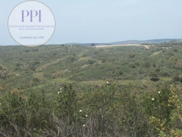 Terreno para Venda em Vila do Bispo e Raposeira