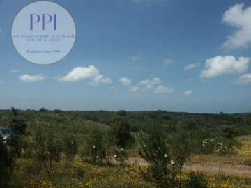 Terreno para Venda em Vila do Bispo e Raposeira