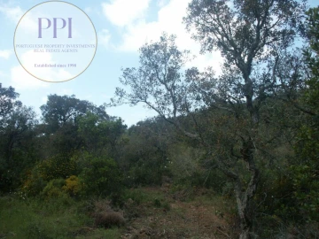 Terreno para Venda em Vila do Bispo e Raposeira