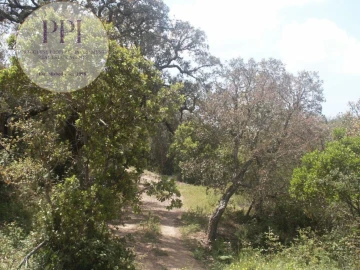 Terreno para Venda em Vila do Bispo e Raposeira