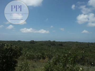 Terreno para Venda em Vila do Bispo e Raposeira
