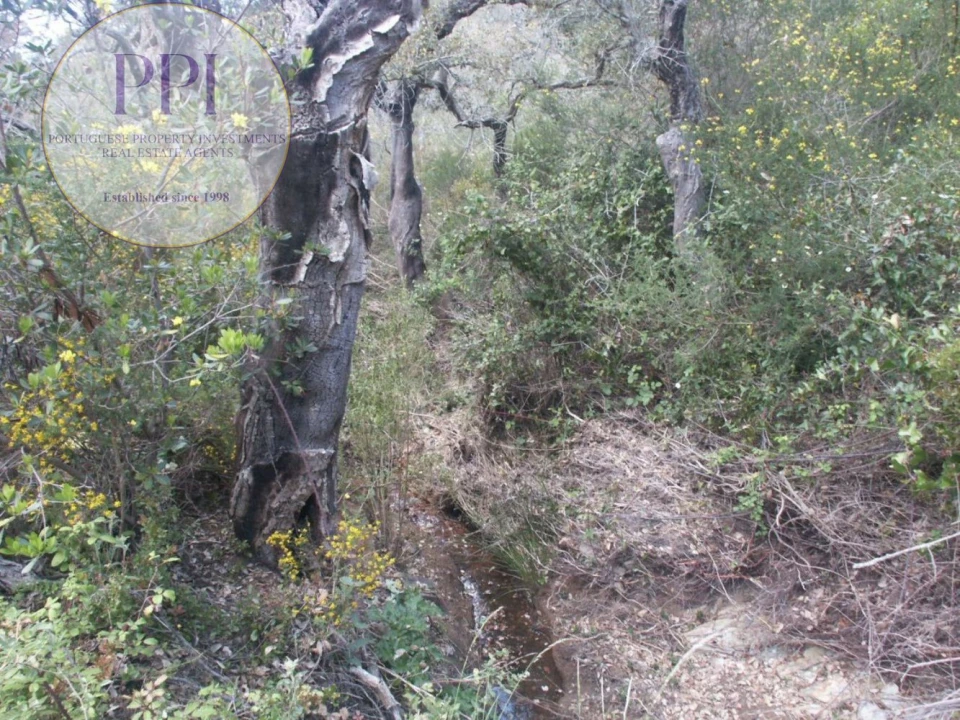 Terreno para Venda em Vila do Bispo e Raposeira Foto 40
