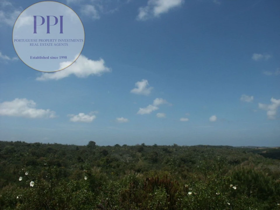 Terreno para Venda em Vila do Bispo e Raposeira Foto 2