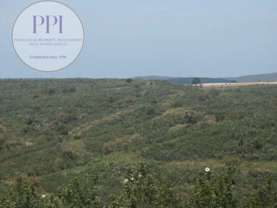 Terreno para Venda em Vila do Bispo e Raposeira Foto 16