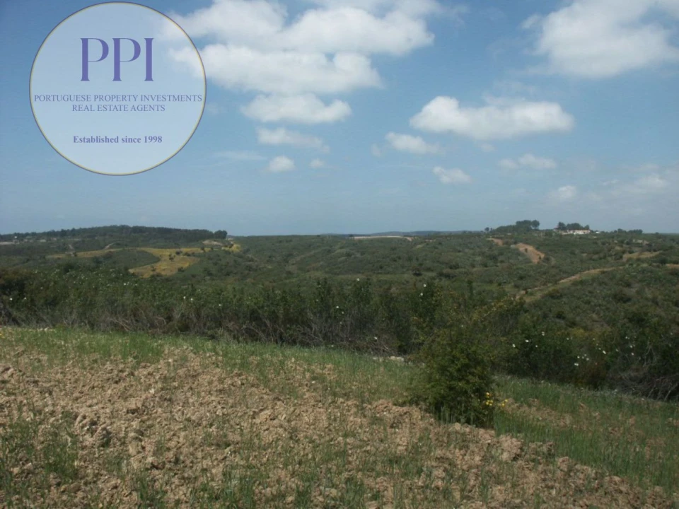 Terreno para Venda em Vila do Bispo e Raposeira Foto 17