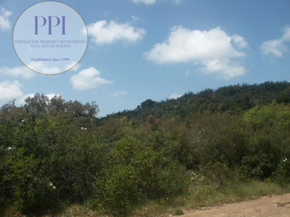 Terreno para Venda em Vila do Bispo e Raposeira Foto 33