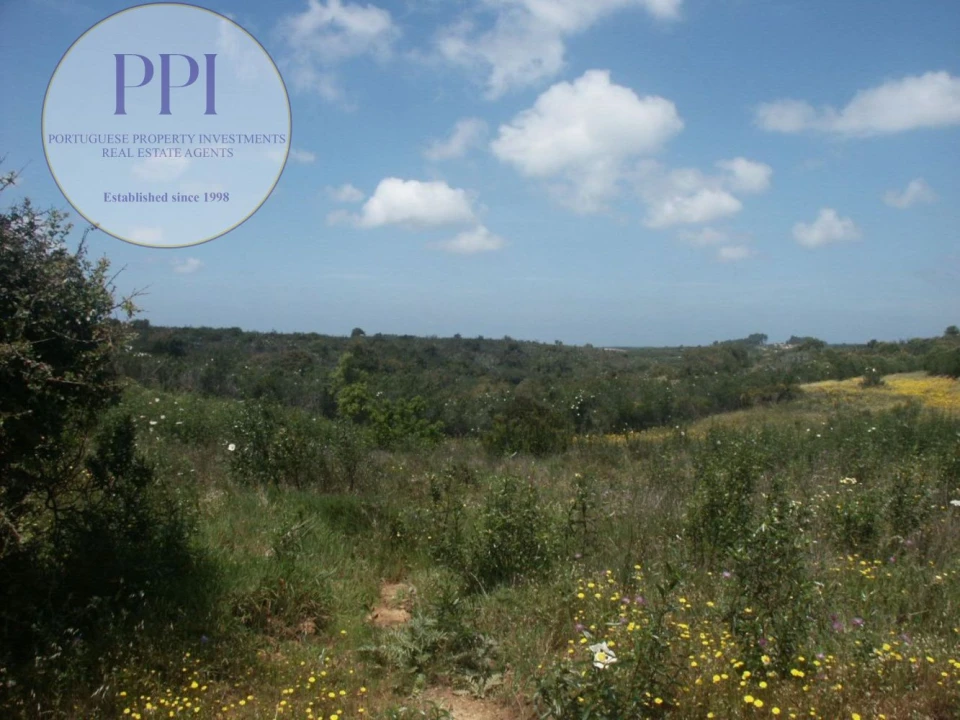 Terreno para Venda em Vila do Bispo e Raposeira Foto 43