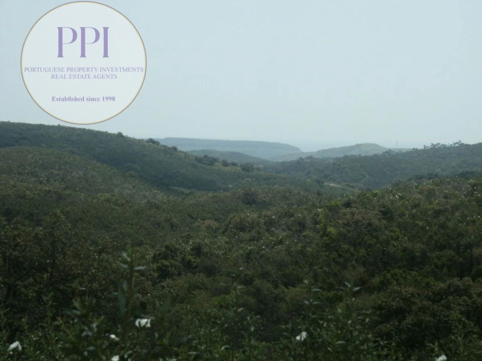 Terreno para Venda em Vila do Bispo e Raposeira Foto 11