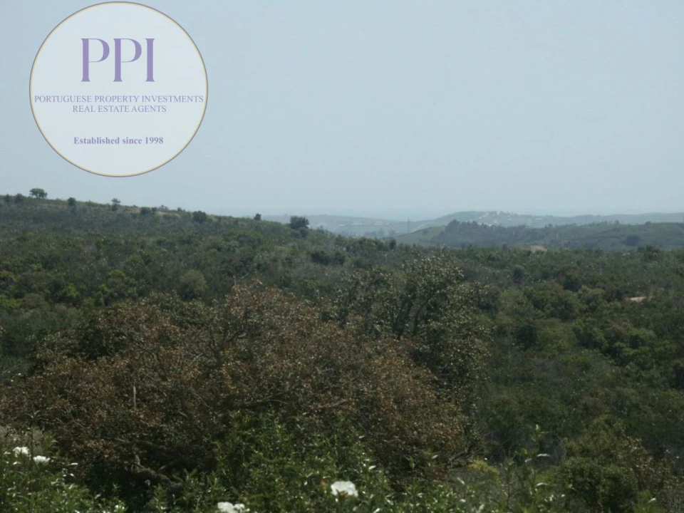 Terreno para Venda em Vila do Bispo e Raposeira Foto 8