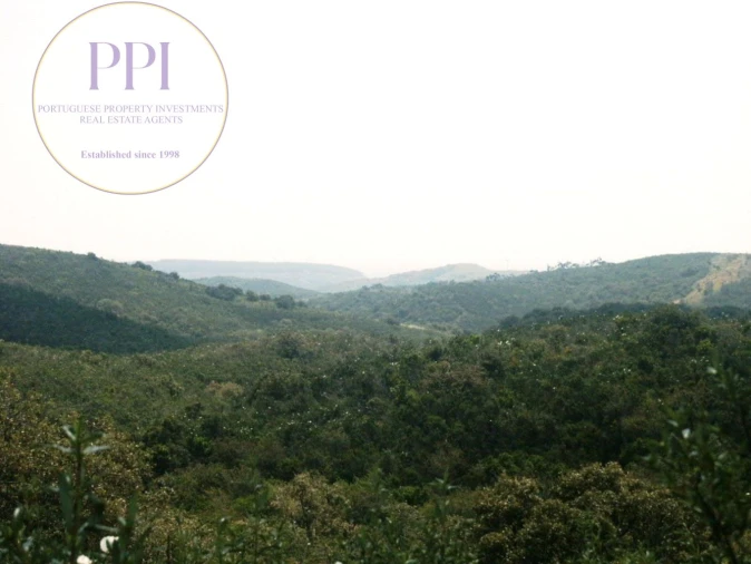 Terreno para Venda em Vila do Bispo e Raposeira Foto 9