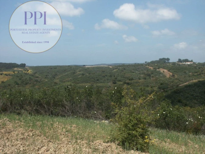 Terreno para Venda em Vila do Bispo e Raposeira Foto 14
