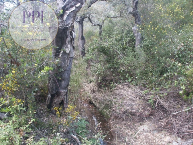 Terreno para Venda em Vila do Bispo e Raposeira Foto 40