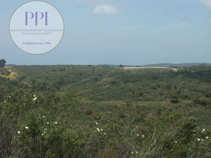 Terreno para Venda em Vila do Bispo e Raposeira Foto 20