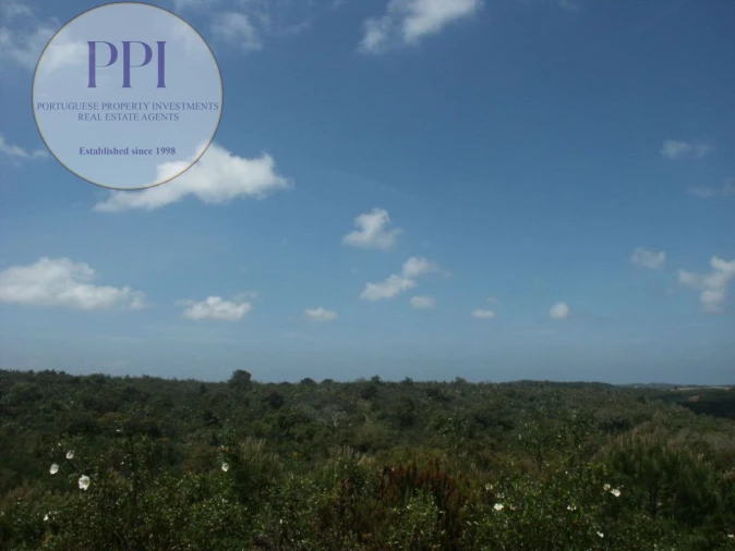 Terreno para Venda em Vila do Bispo e Raposeira Foto 2