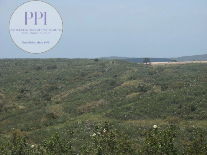 Terreno para Venda em Vila do Bispo e Raposeira Foto 16