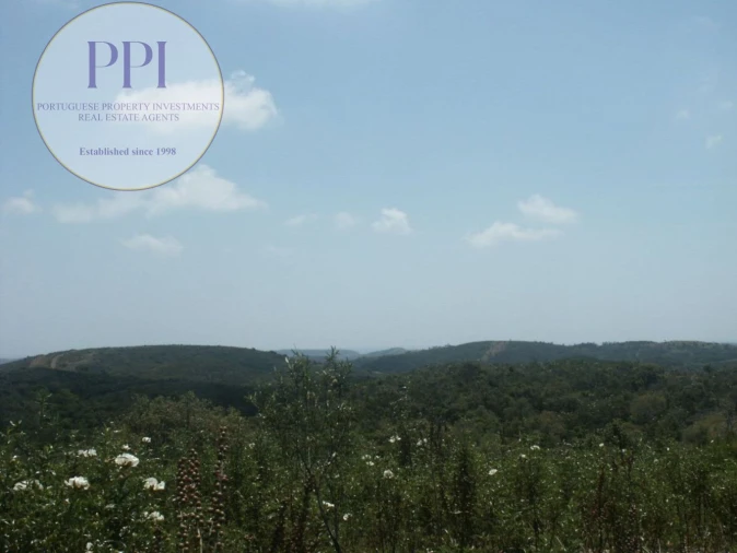 Terreno para Venda em Vila do Bispo e Raposeira Foto 5
