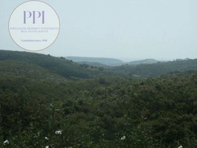 Terreno para Venda em Vila do Bispo e Raposeira Foto 11