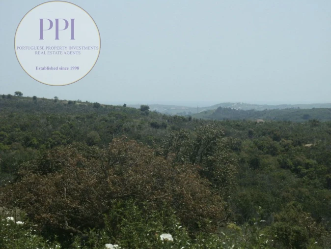 Terreno para Venda em Vila do Bispo e Raposeira Foto 8