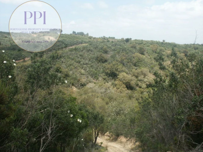 Terreno para Venda em Vila do Bispo e Raposeira Foto 25